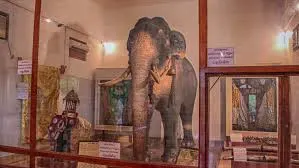 Museum of the Tusker Rajah thumbnail 2