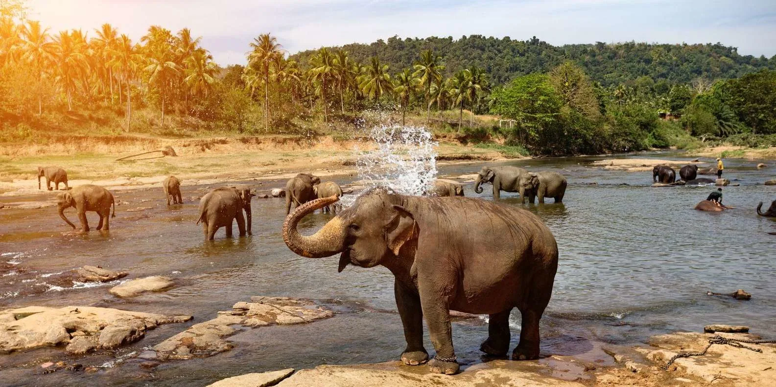 Pinnawala Zoo thumbnail 2