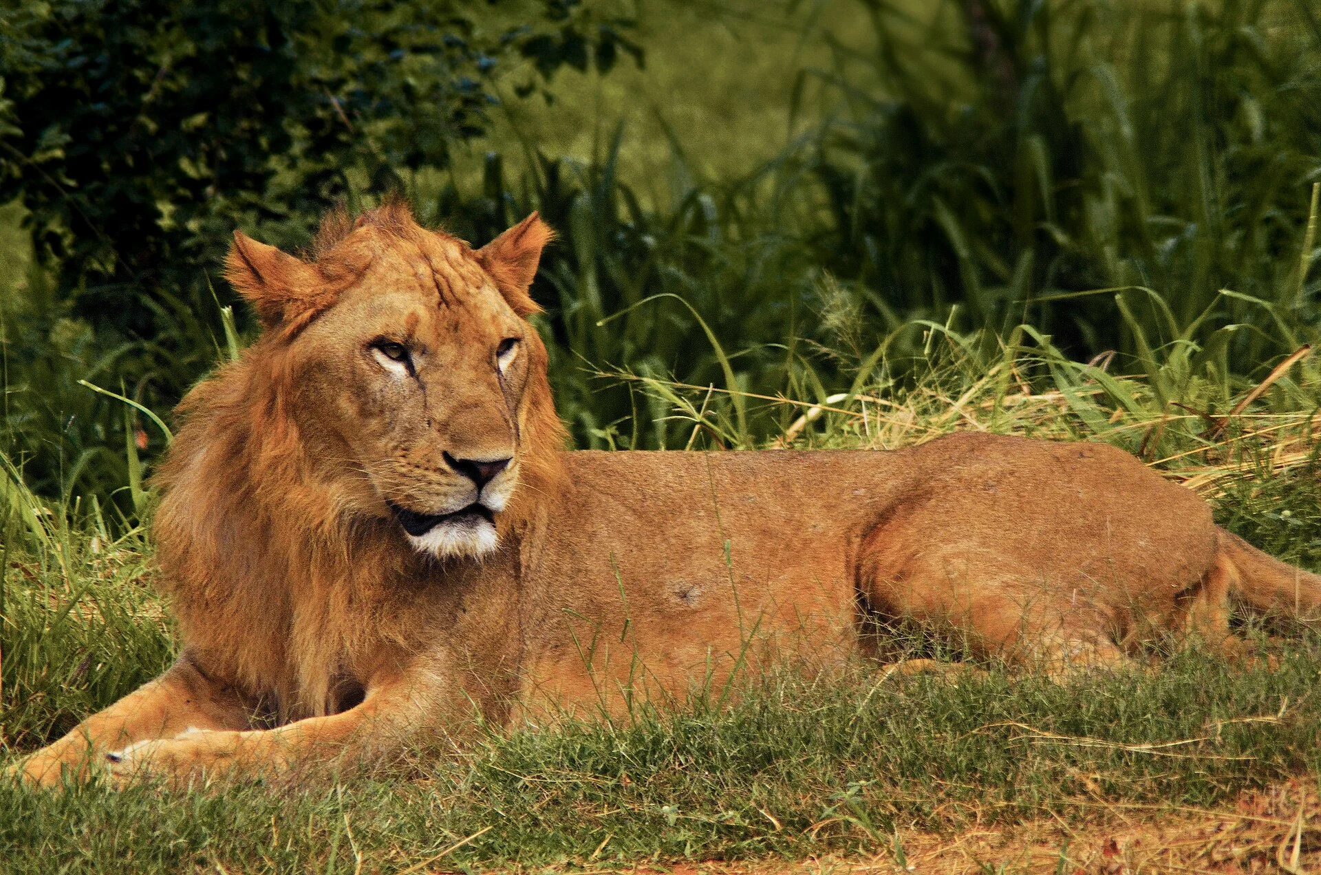 Ridiyagama Safari Park thumbnail 3