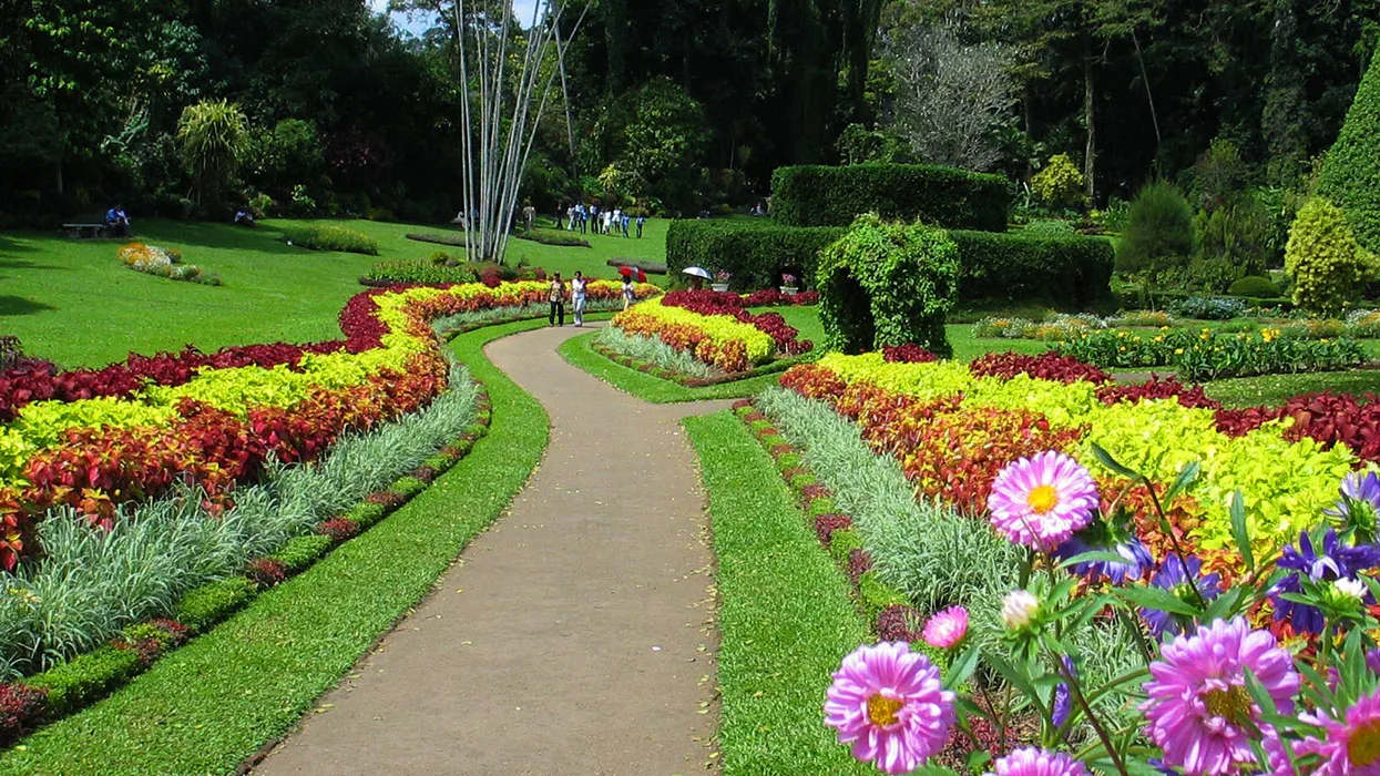 Royal Botanic Gardens Peradeniya thumbnail 3