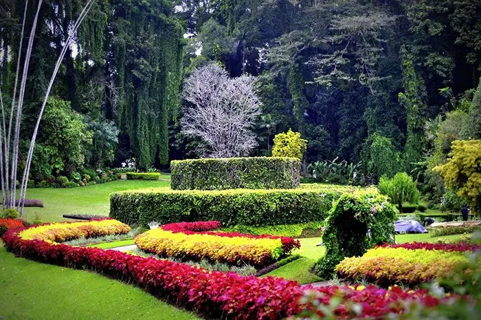 Royal Botanic Gardens Peradeniya thumbnail 4