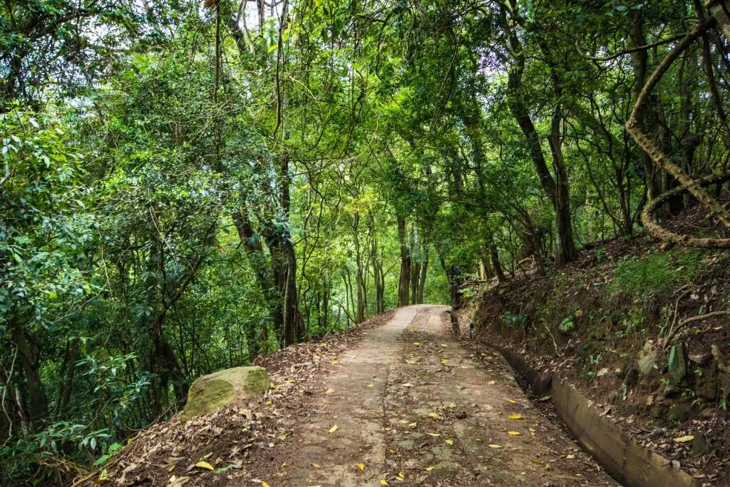 Udawatta Kele Sanctuary thumbnail 2