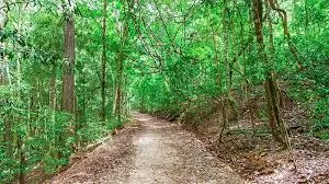 Udawatta Kele Sanctuary thumbnail 4