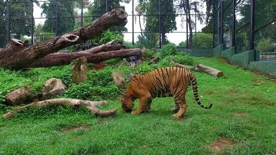 Dehiwala National Zoo (National Zoological Gardens of Sri Lanka)