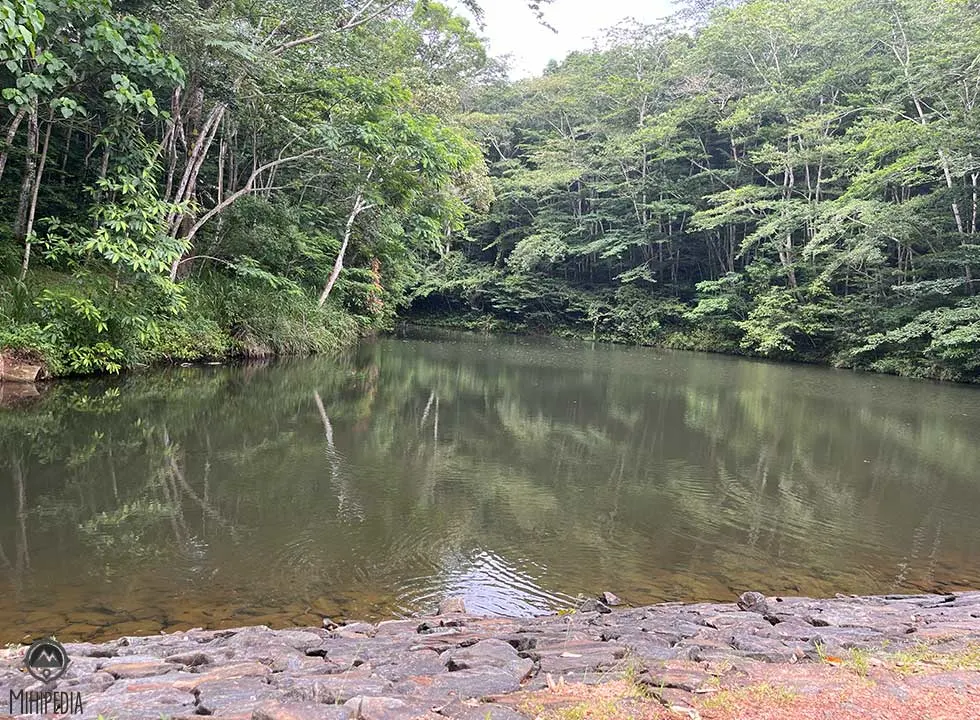 Dunumadalawa Forest Reserve thumbnail 3