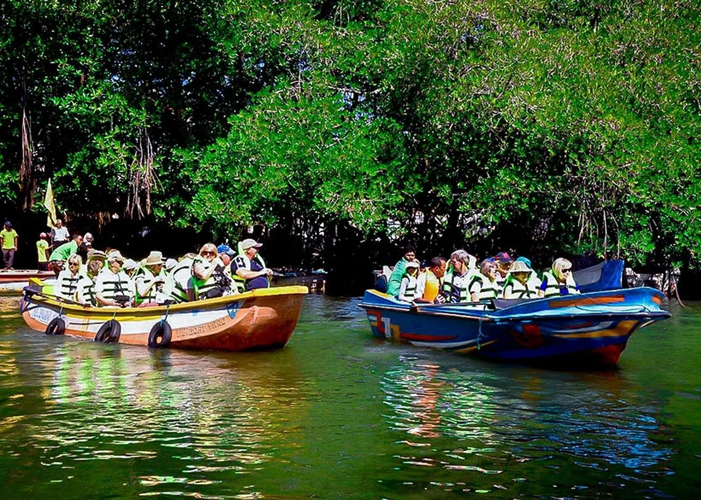 Madu Ganga Mangrove Boat Safari