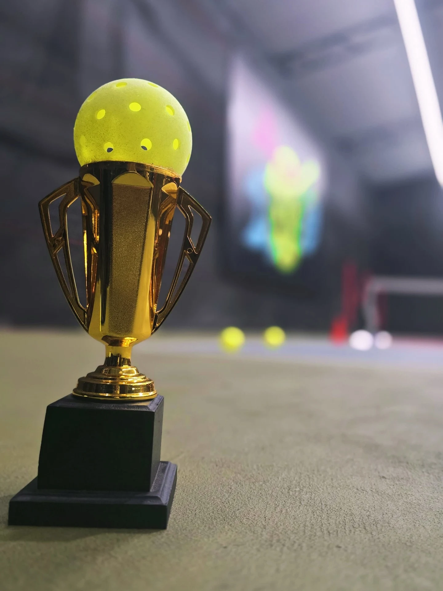 PickleBee by 71 – Indoor Pickleball Rajagiriya thumbnail 4