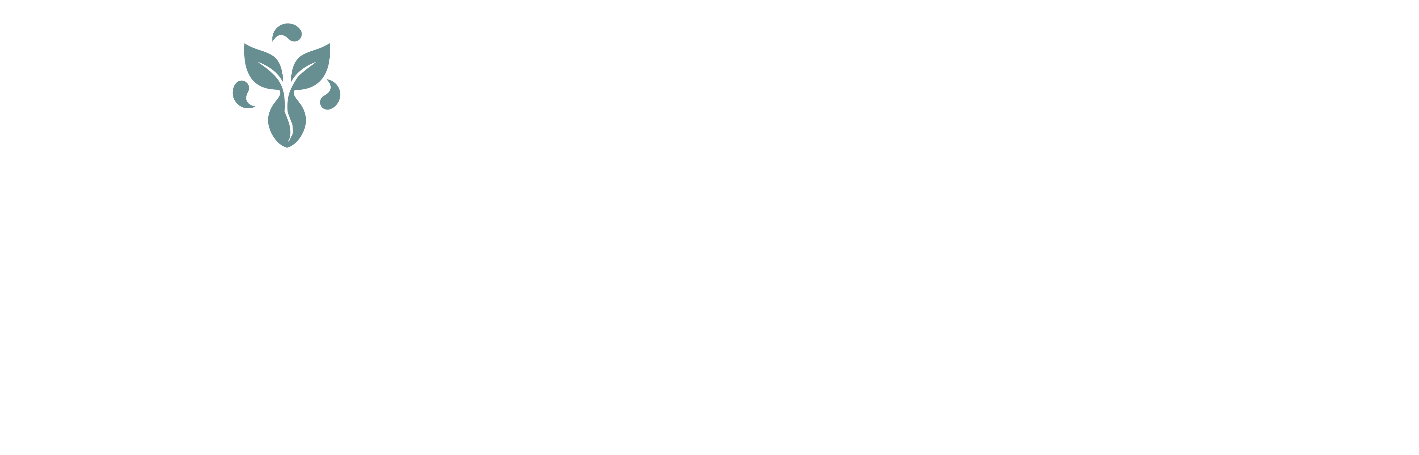 Full Logo (Dark)