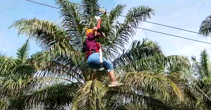Flying Fox