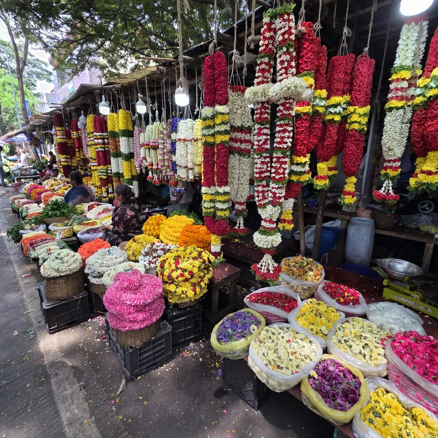 Malleswara darshan heritage walk - 5