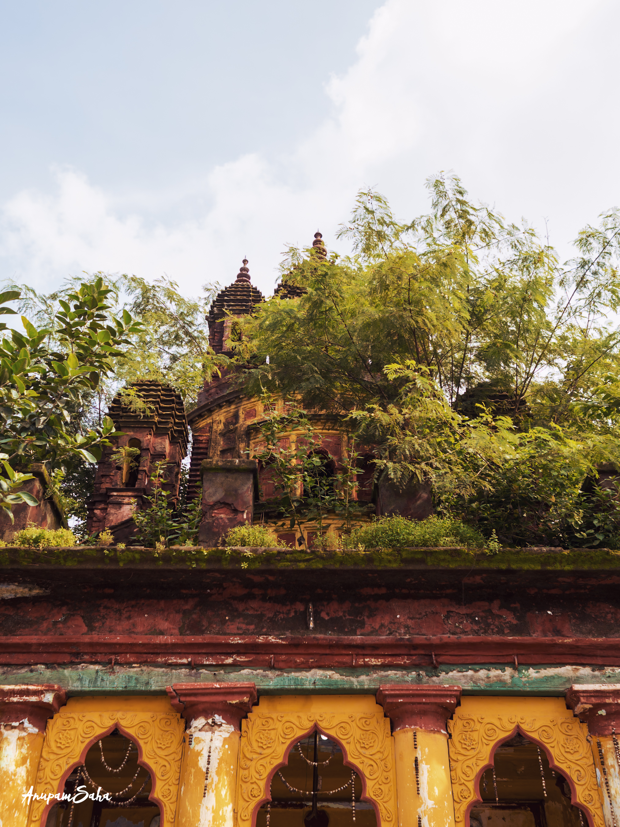 Kalighat Chronicles - The Adi Ganga Trail - 4