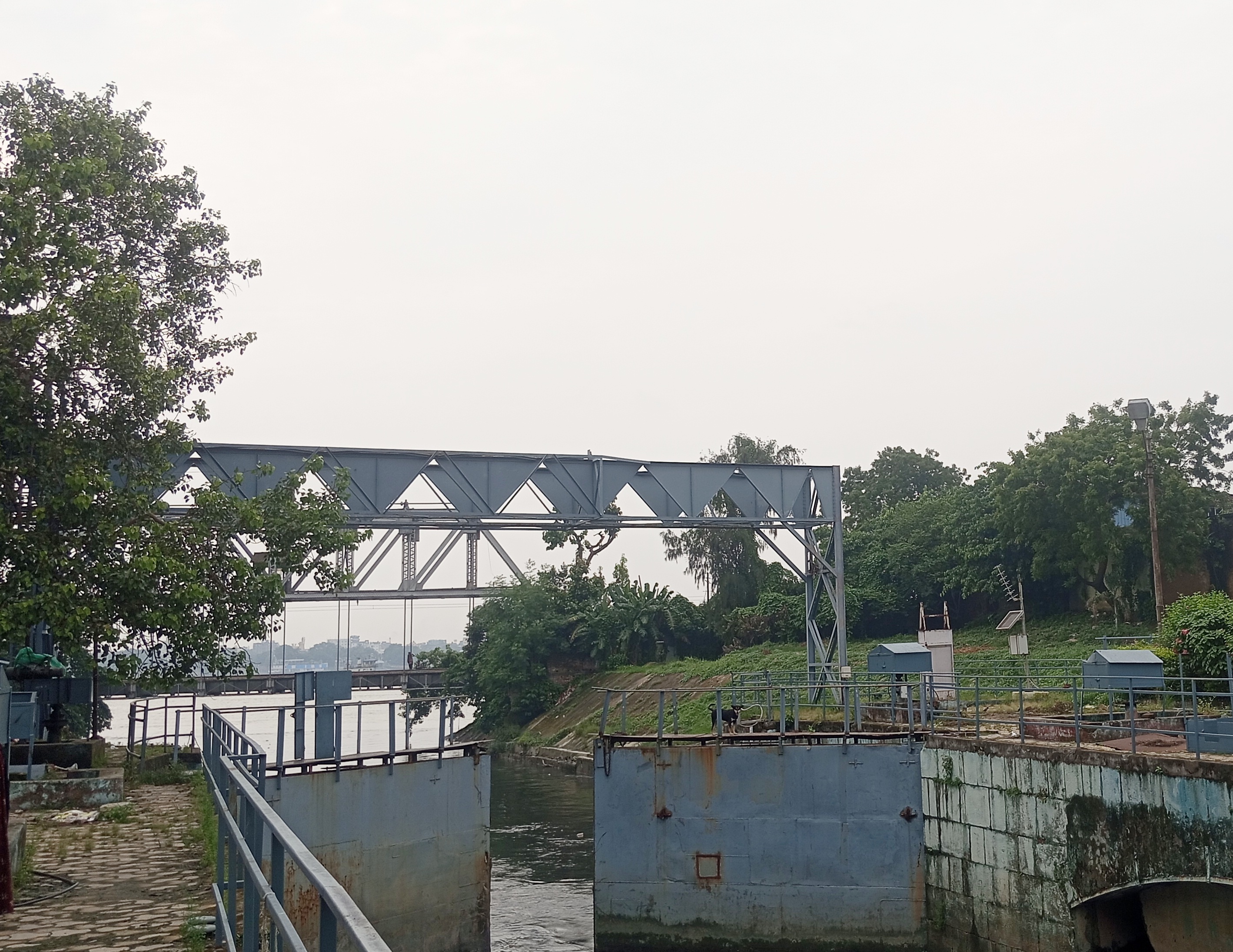 Following the Water : An Urban Ecology Expedition Across Kolkata - 4