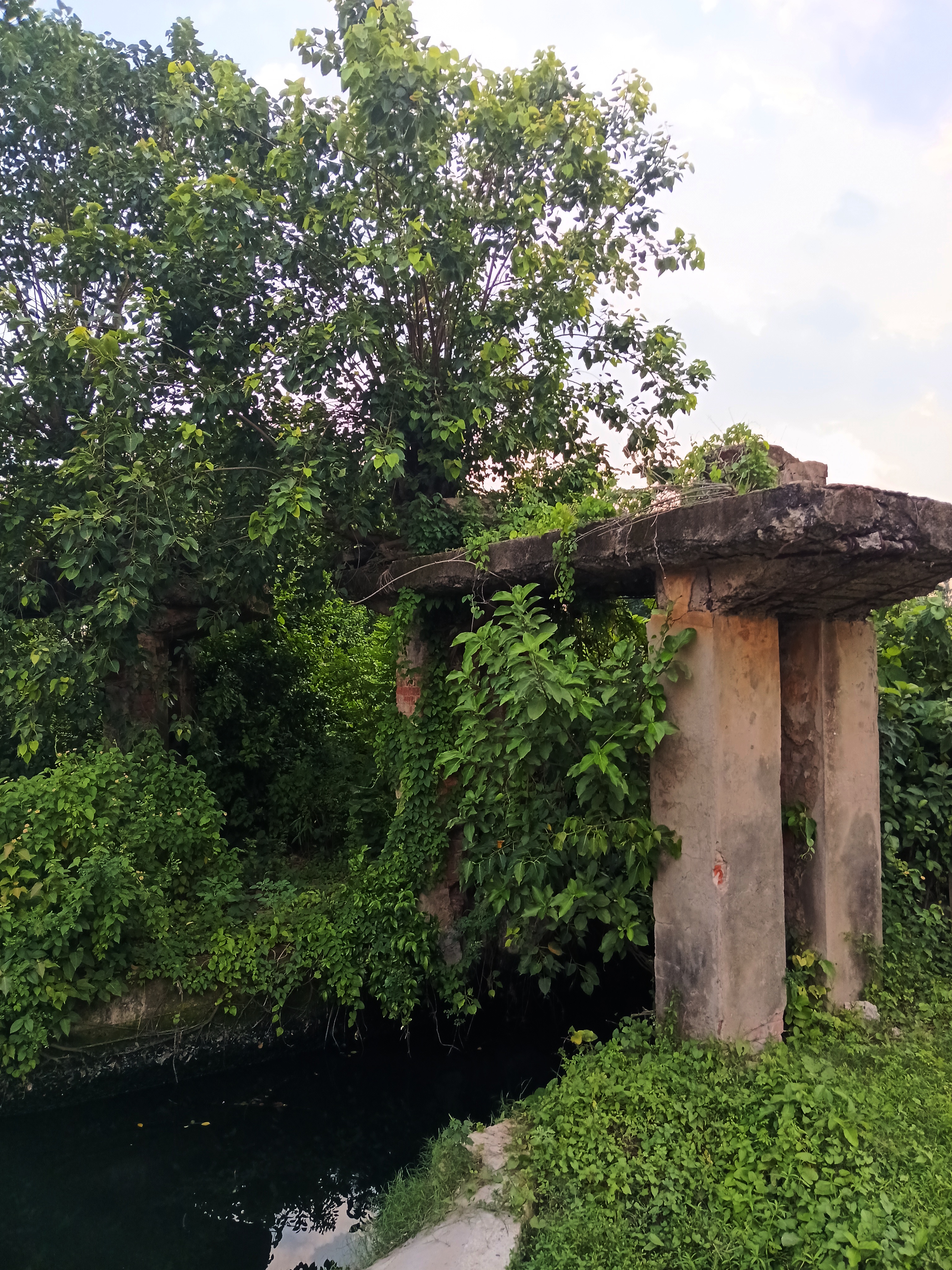 Following the Water : An Urban Ecology Expedition Across Kolkata - 5
