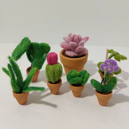 Plants you can't kill