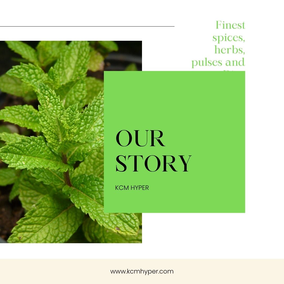 KCM Hyper Founder / Brand Image