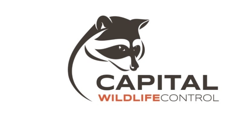 Capital Wildlife Control
