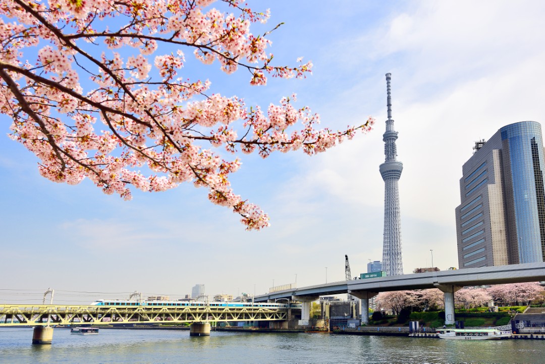 Tokio