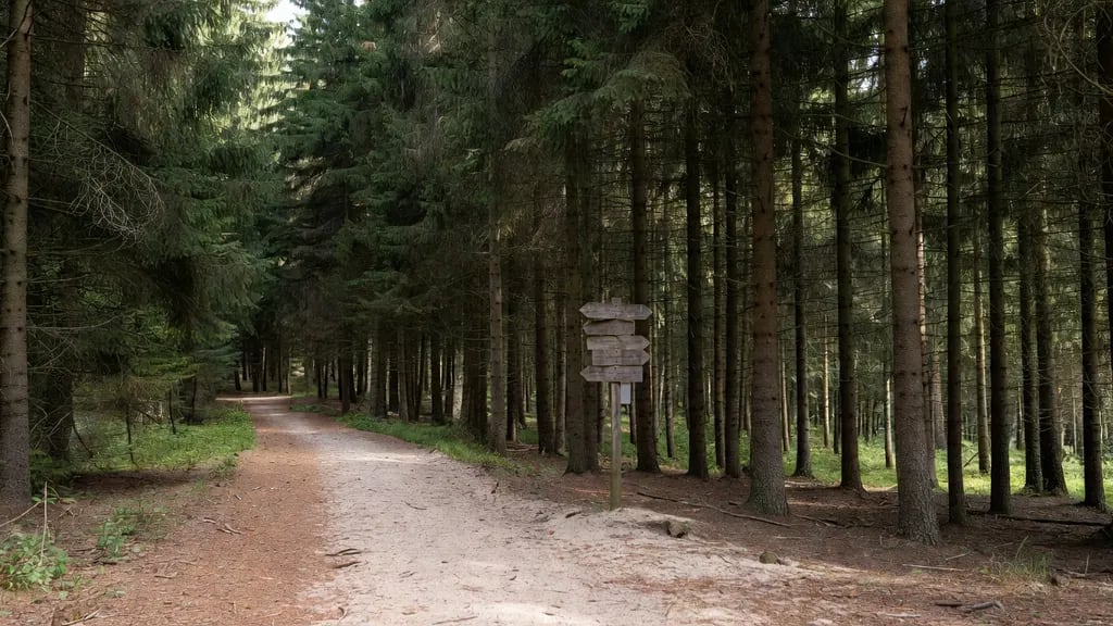 Mazury Garbate - Co Warto Zwiedzić W Krainie EGO?