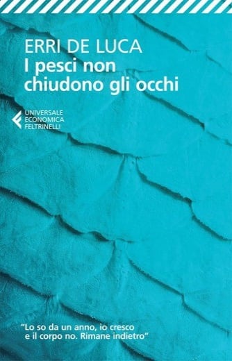 https://alfeobooks.com/I pesci non chiudono gli occhi