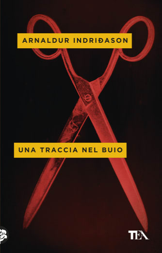 https://alfeobooks.com/Una traccia nel buio