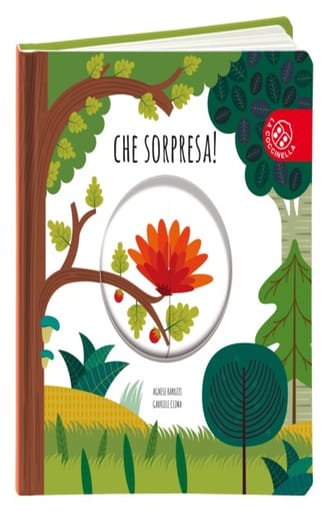 https://alfeobooks.com/Che sorpresa! Ediz. a colori