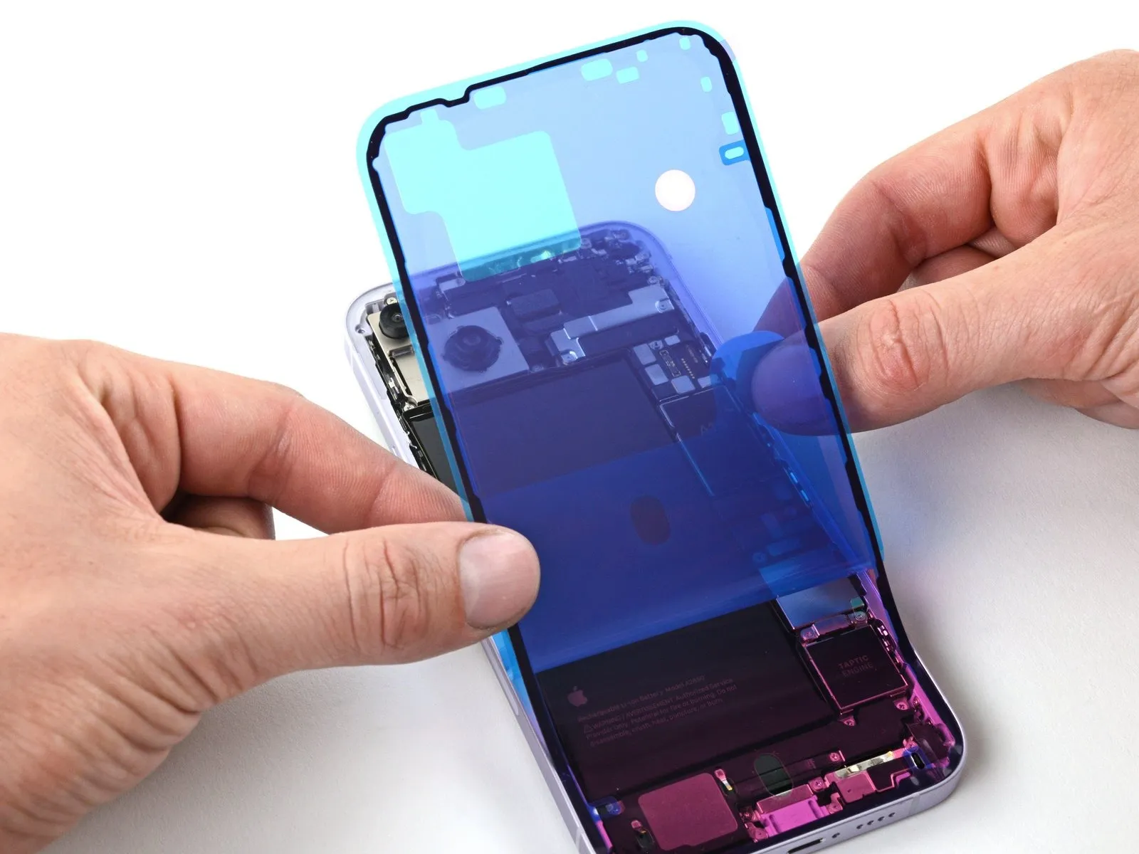 Step 7 image