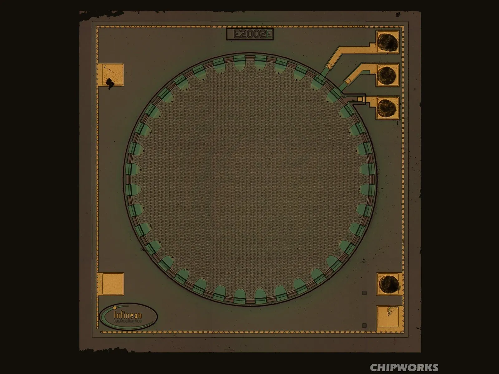 Step 6 image