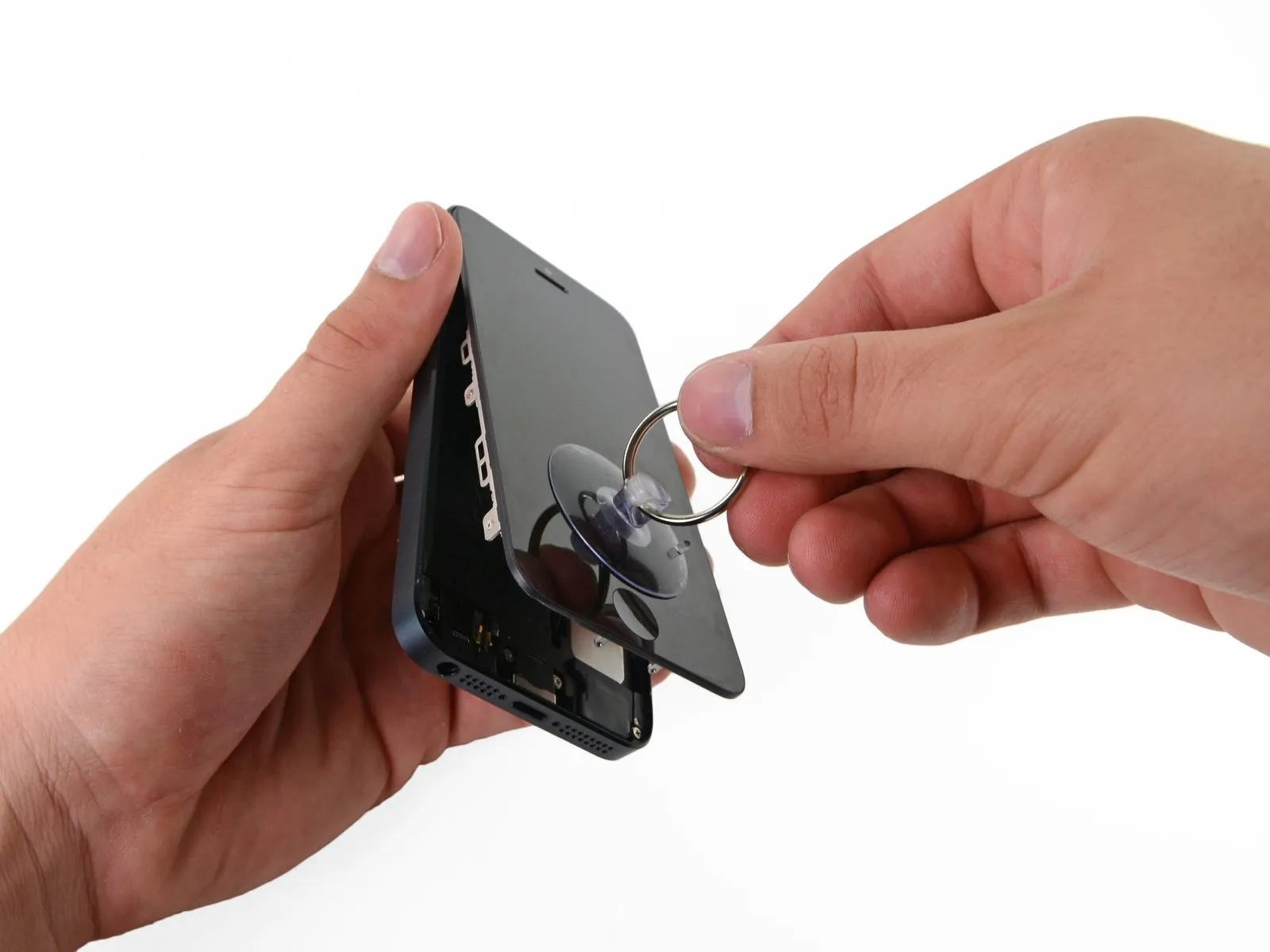 Step 9 image