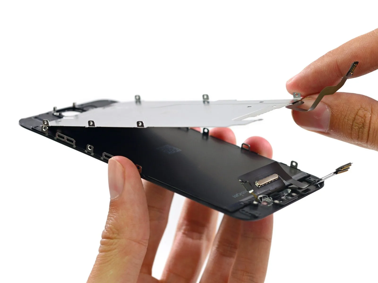 Step 10 image