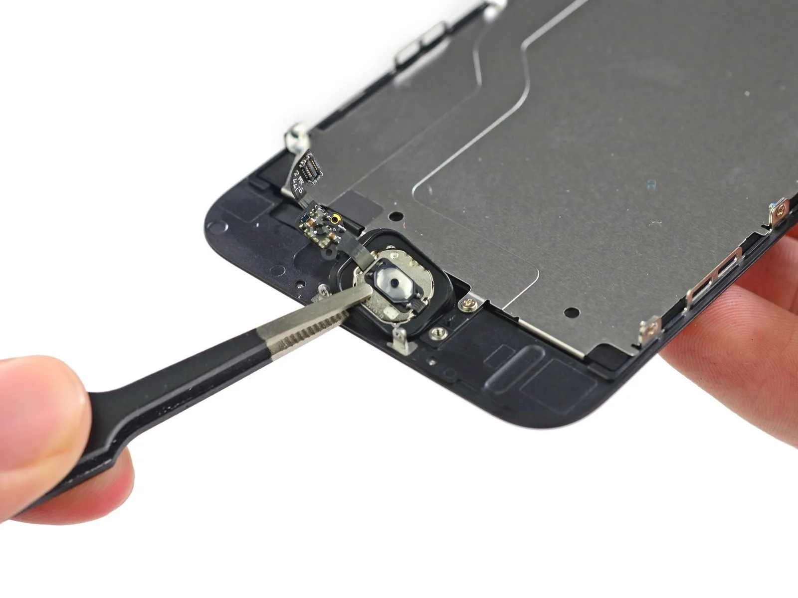 Step 8 image