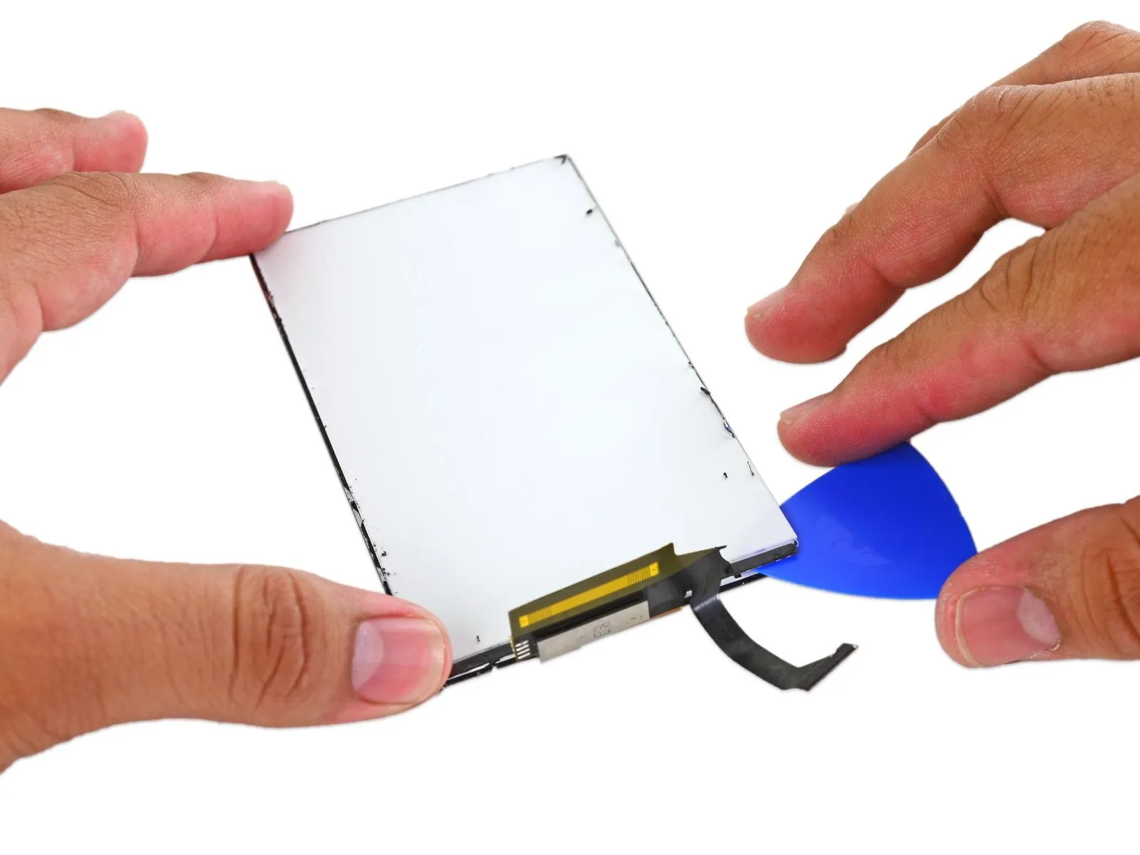 Step 12 image