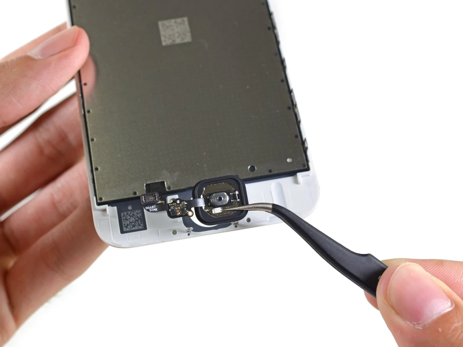 Step 10 image