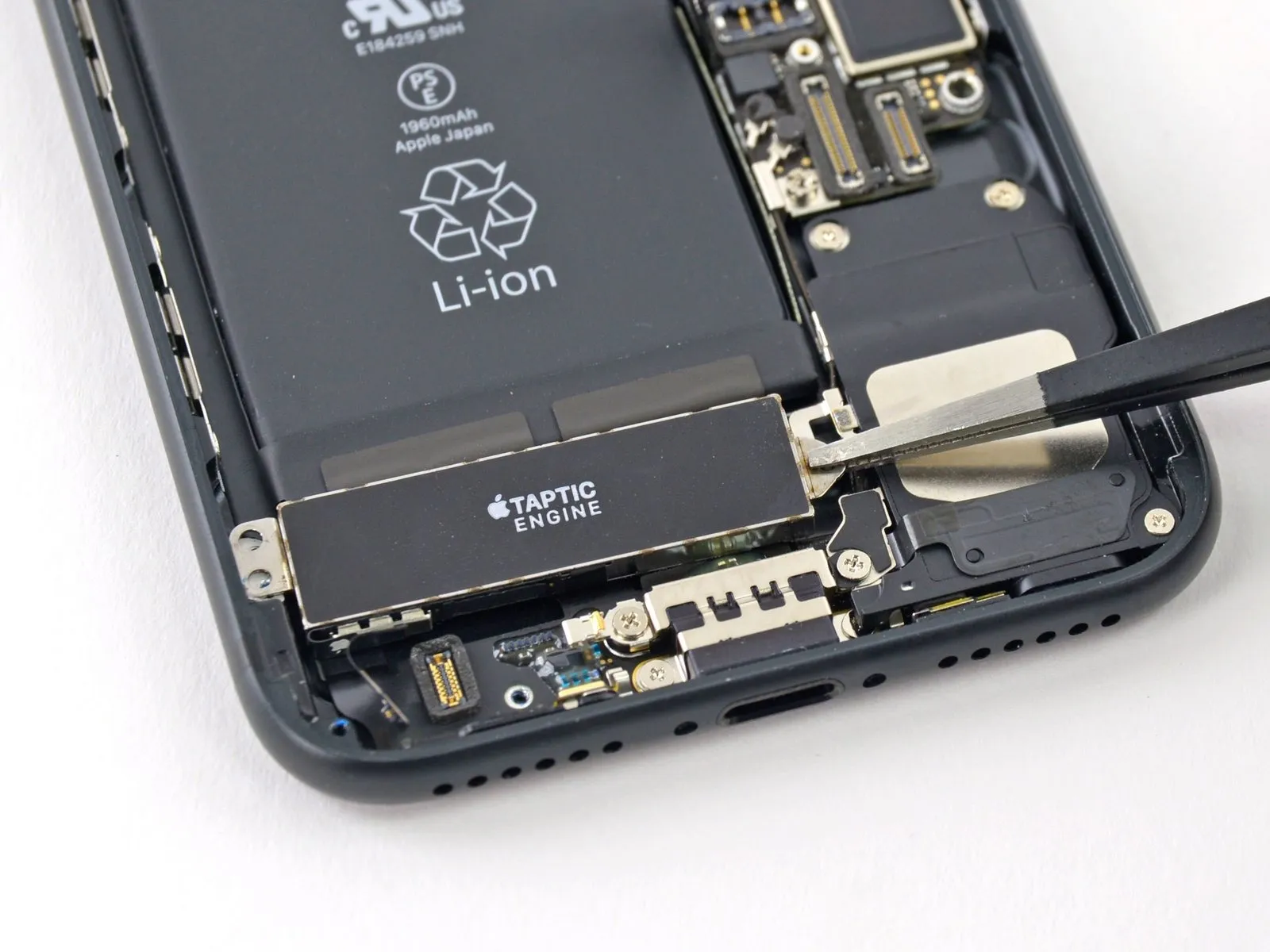 iPhone 7 Rear Case Replacement