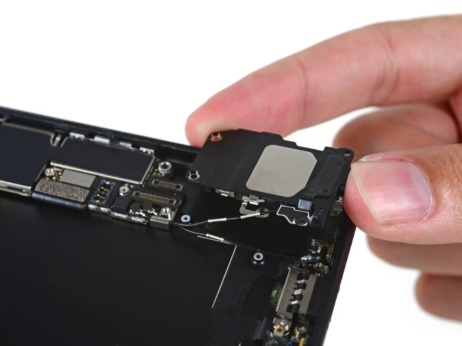 Step 10 image