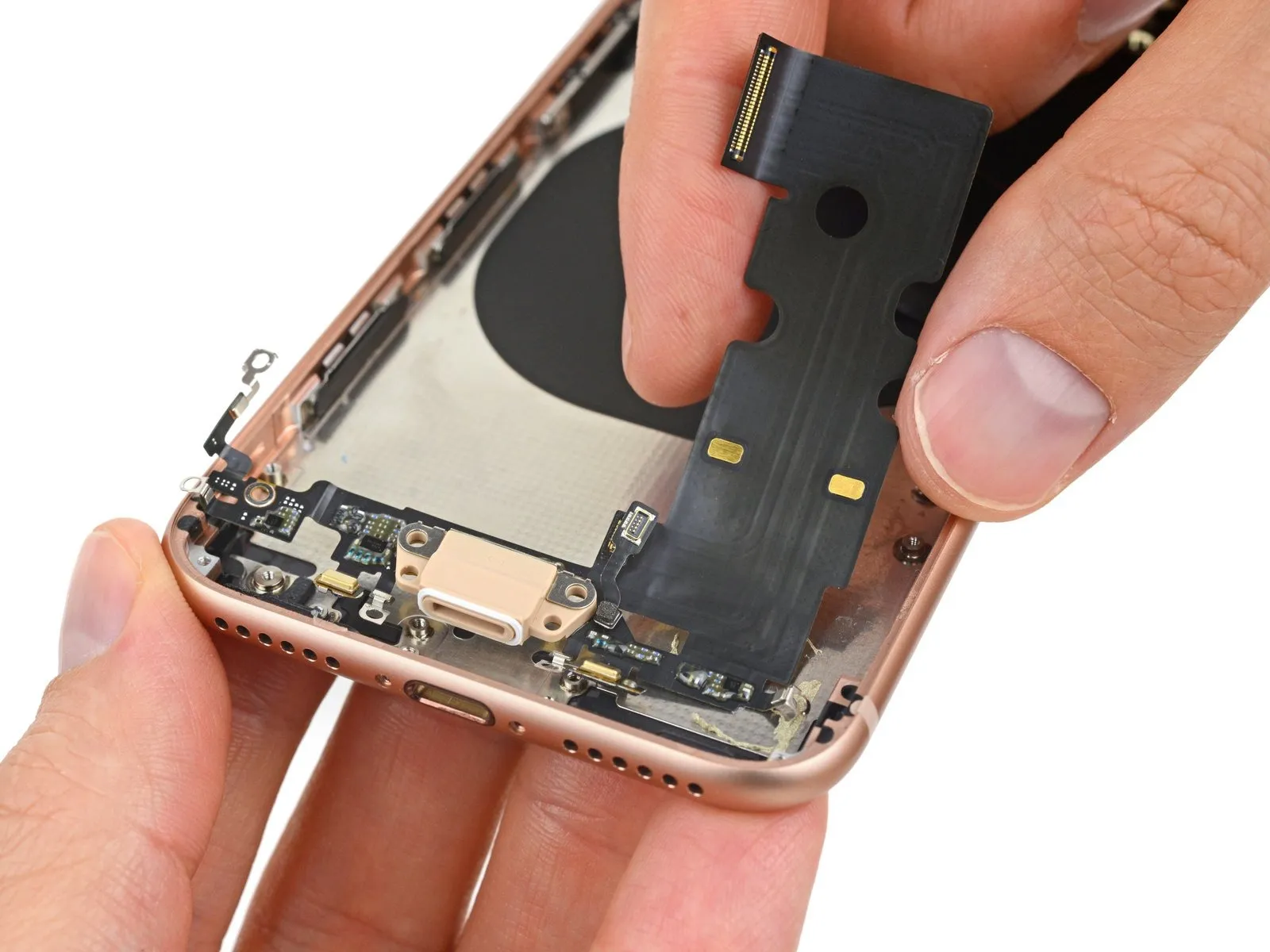 Step 15 image