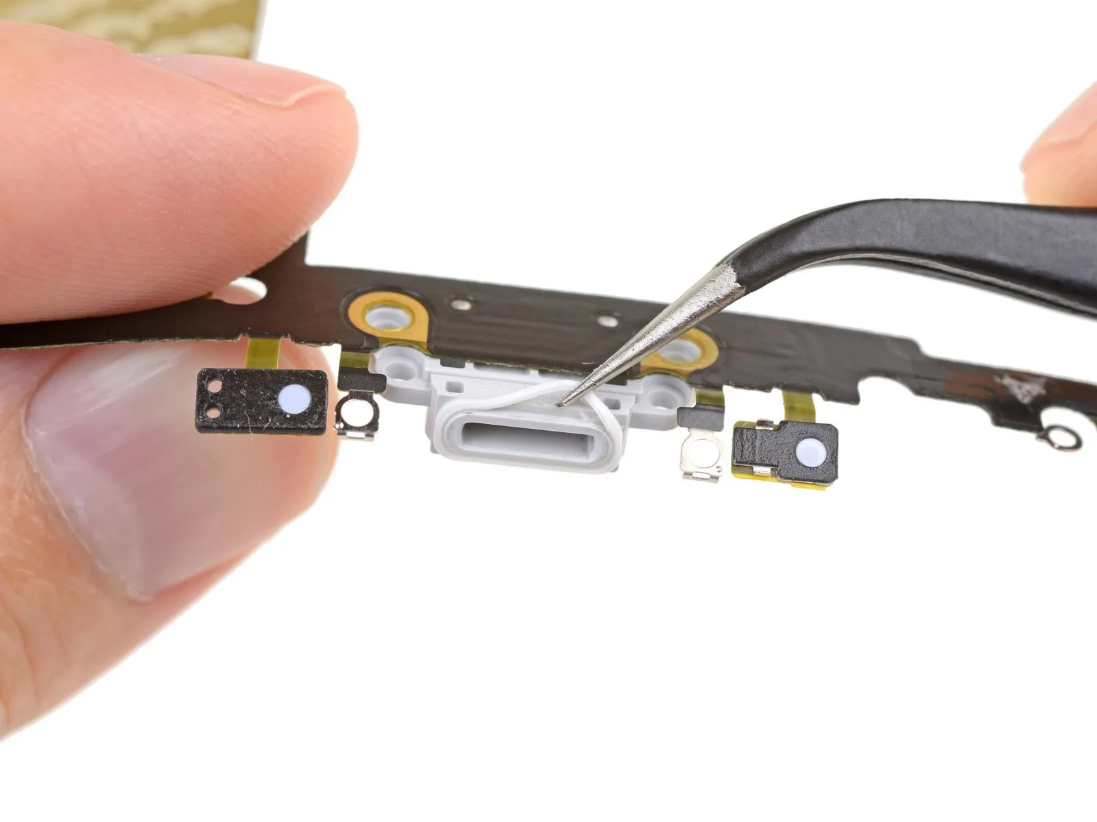 Step 79 image