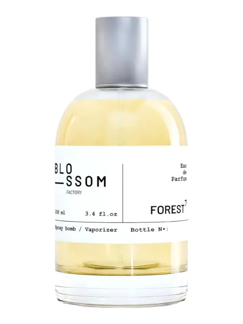 Forest 7