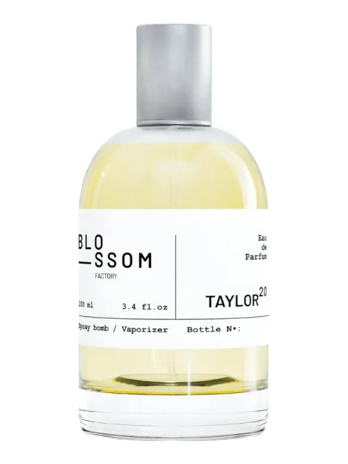Taylor 20
