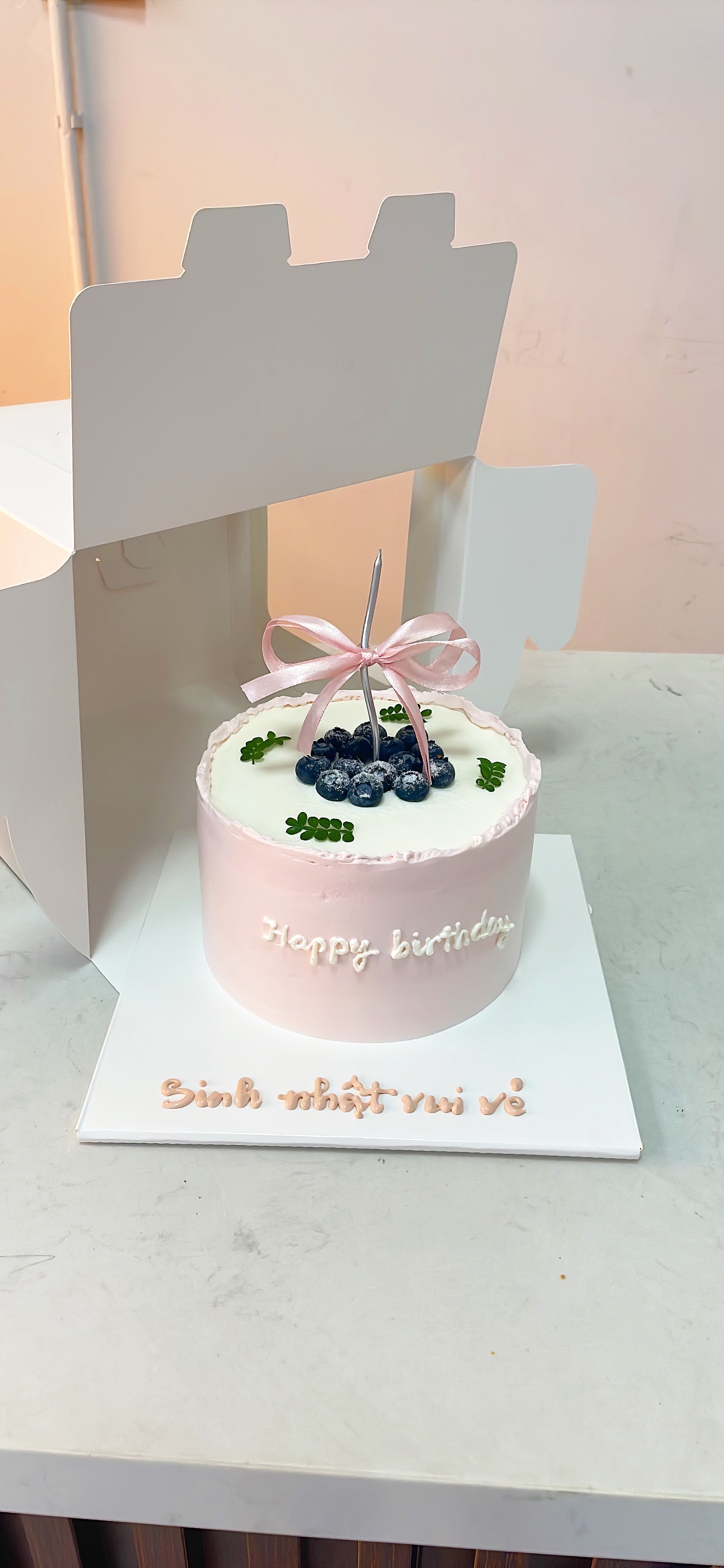 Bánh sinh nhật việt quất pastel