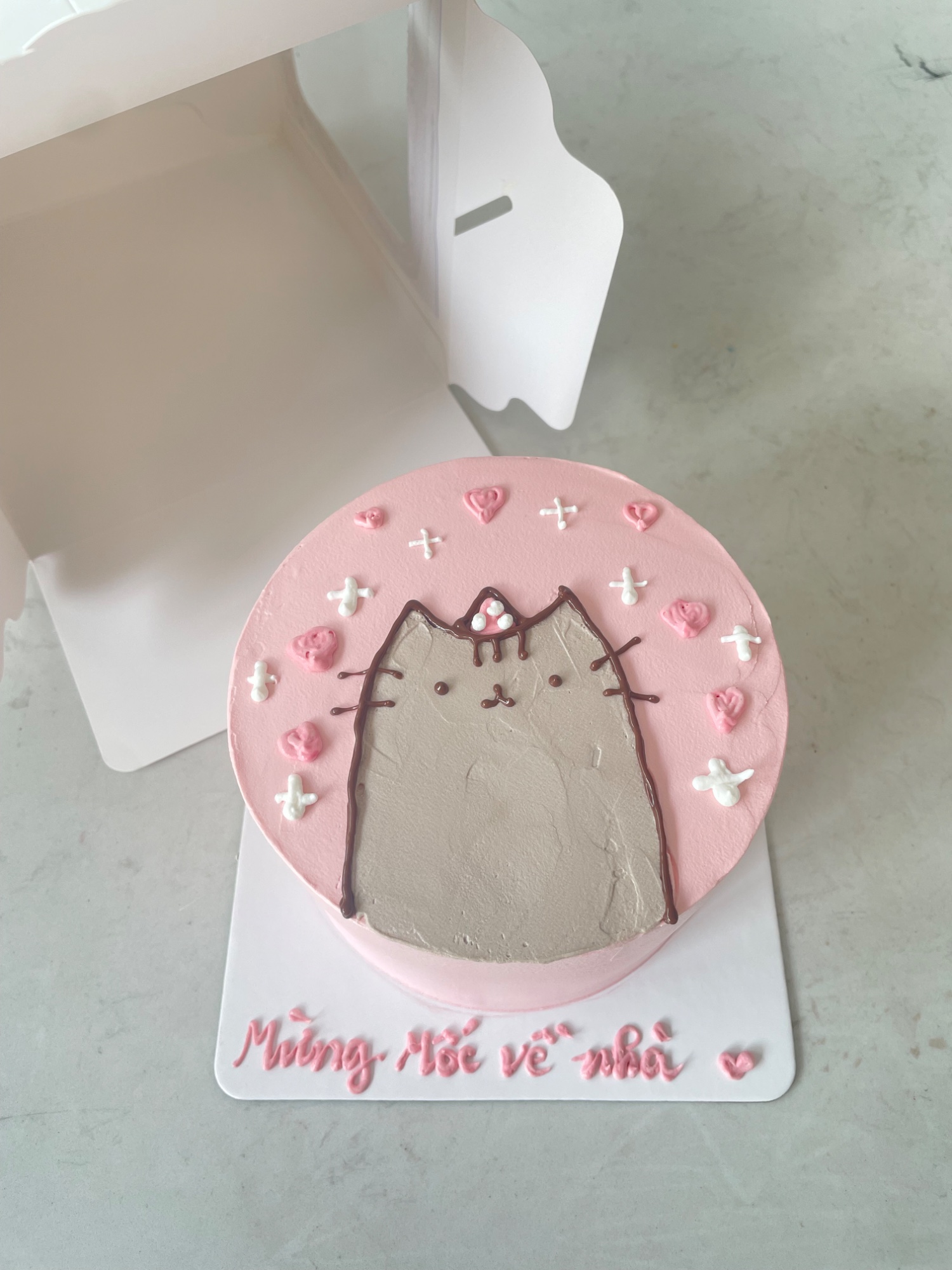 Bánh kem Pusheen mừng về nhà