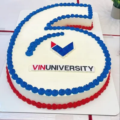 Bánh sinh nhật số 6 VinUniversity