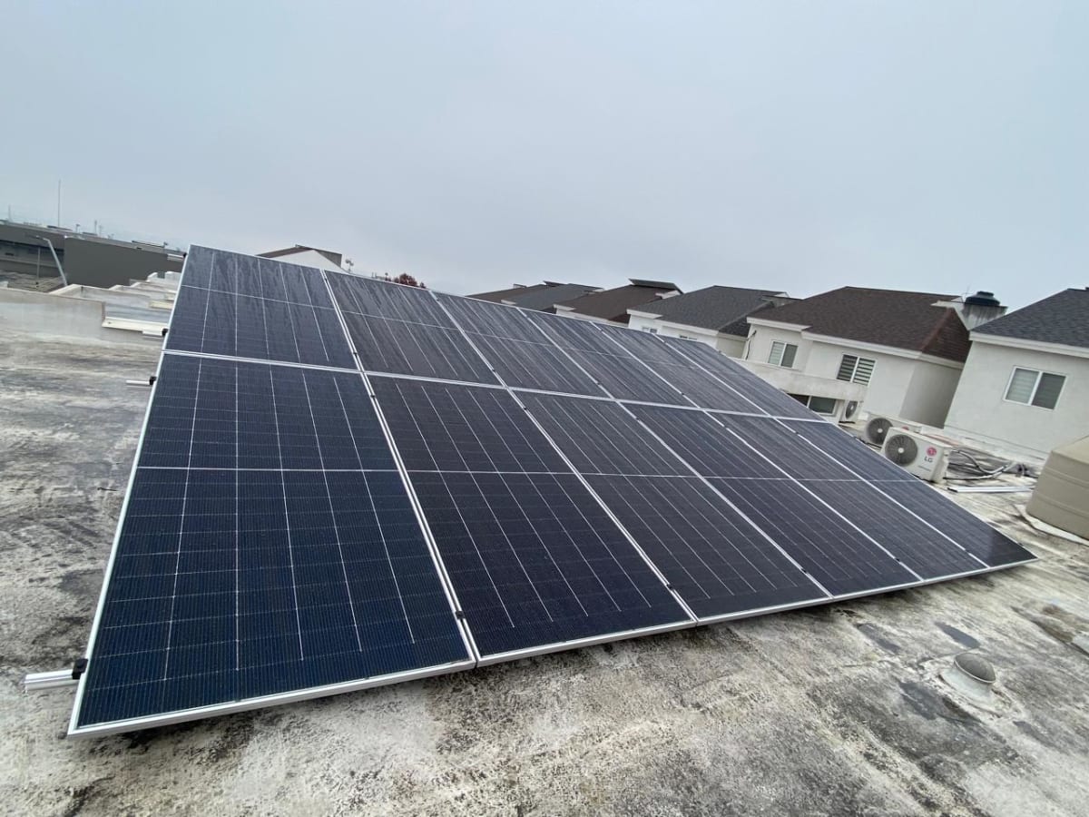 WhatsApp Image 2026-01-25 at 12.22.53 PM (1).jpeg