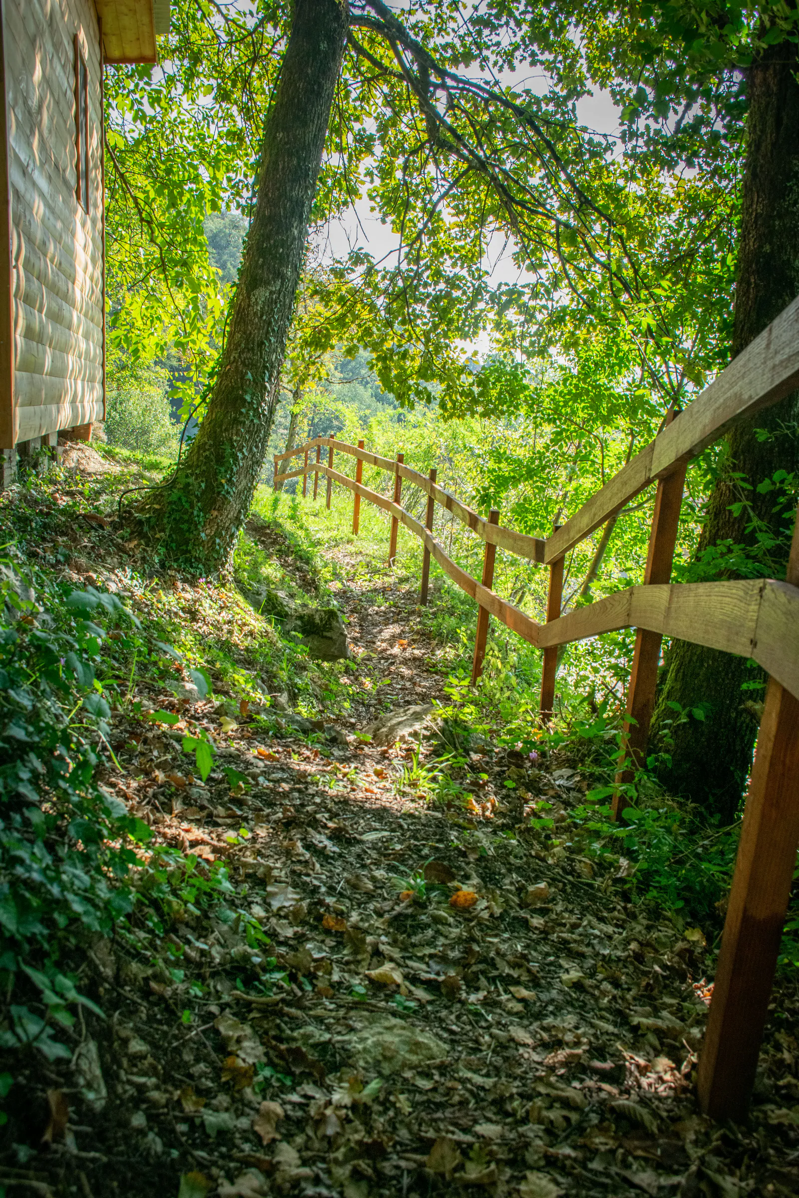 Velika koča 5