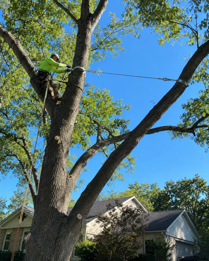 Cable Bracing