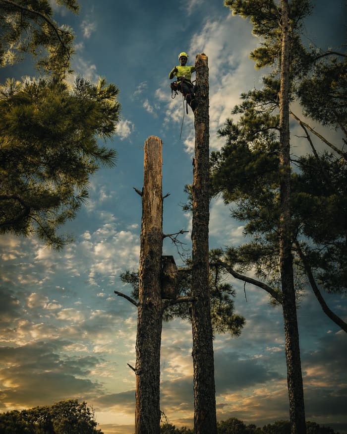 Kings Tree Services crew