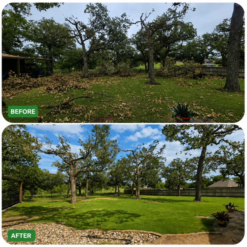 Haul-Off & Tree Trimming