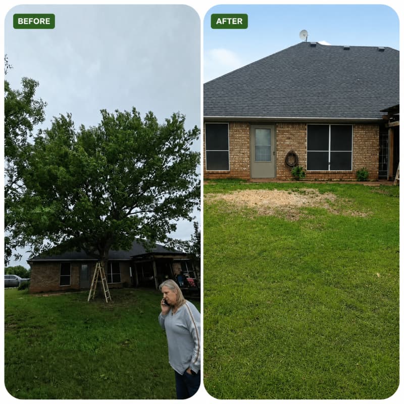 Complete Tree Removal