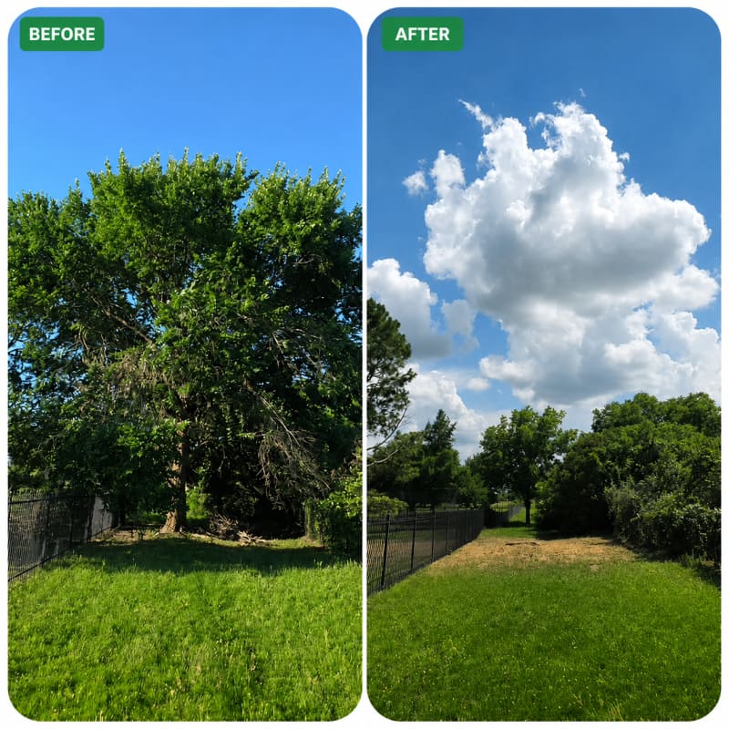 Complete Tree Removal