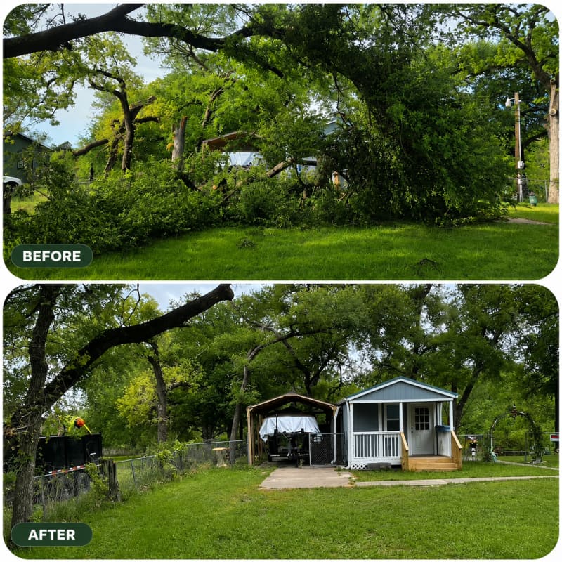 Emergency Tree Removal