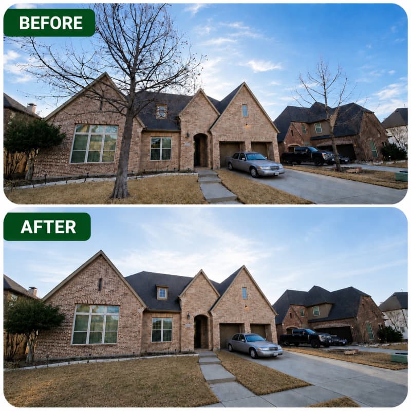 Complete Tree Removal